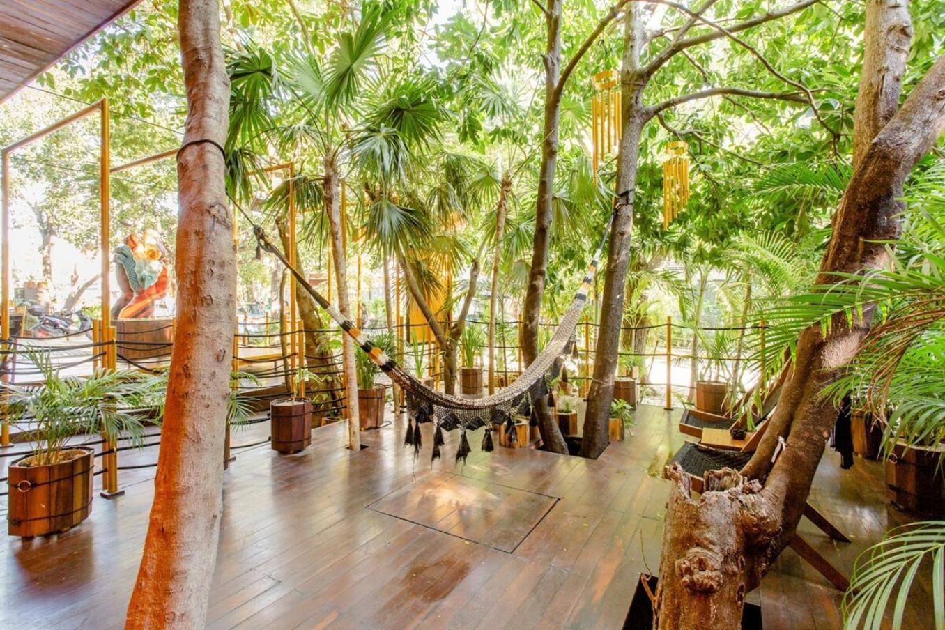 38th St, Beautiful In Playa Steps To Apartamento Playa del Carmen